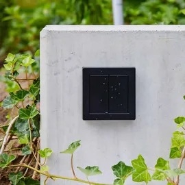 Senic Outdoor Switch - Friends of Hue Lichtschalter 2er-Set