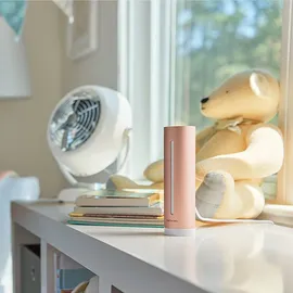 Netatmo Smarter Raumluftsensor • 2er Pack