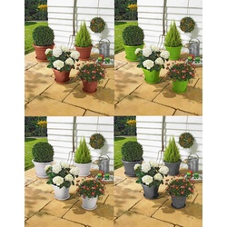 Alpfa Blumentopf-Set inkl. Untersetzer - 8-teilig weiß