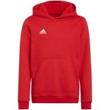 Adidas Entrada 22 Hoodie Kinder tepore 164