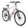 Telefunken Trekking E-Bike Elektrofahrrad 28 Zoll 8-Gang Kettenschaltung Heckmotor 250W 417,6Wh Akku Pedelec XT490 Herren