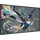Philips Q-Line 75BDL3650Q, 74.5" (75BDL3650Q/00)