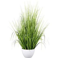 Kunstgras CREATIV GREEN "Grasbusch", grün, H:79cm, Kunststoff, Kunstpflanzen, mit zahlreichen Grashalmen