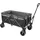 Brunner Bollerwagen Cargo Compact XL grau