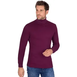 Trigema Rollkragenshirt »TRIGEMA Langarm Ski- und Sport-Rollkragenpullover«, (1 tlg.), rot