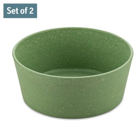 Koziol CONNECT BOWL Schale, 2er Set, 890 ml, Ideal für One-Pot-Pasta, Buddha-Bowl oder knackige Salatkreationen für unterwegs, Farbe: grün