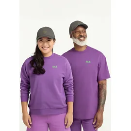Jack Wolfskin Celebrate The PAW Cap grau Einheitsgröße