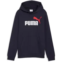 Puma Hoodie Blue 164