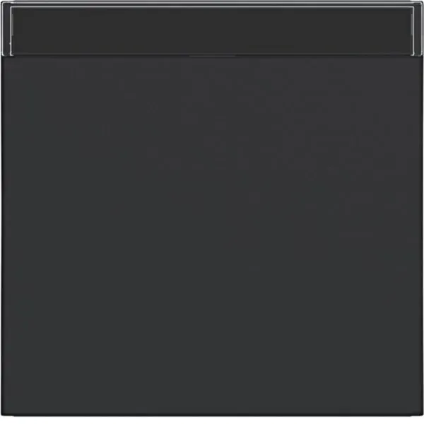 Hager WAW1100BM Wippe 1-fach mit Beschriftungsfeld, A.x/C.x, nachtschwarz matt