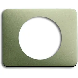 Busch-Jaeger Zentralscheibe pall 1756-260 2CKA001710A3306