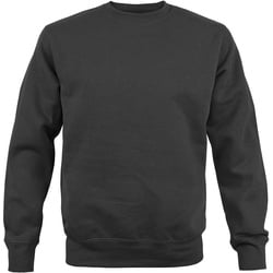 Fruit of the Loom Premium Sweat Pullover schwarz, Größe S