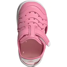 adidas Water Sandal 2 I Bliss Pink/Cloud White/Clear Pink 26