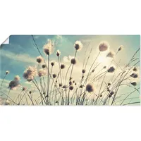 ARTland Artland, Wollgras 100x50cm