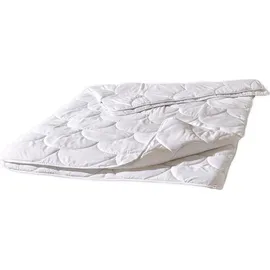 Traumschlaf Basic Faserdecke Vierjahreszeiten, Füllung: 100% Polyester 200x200 cm