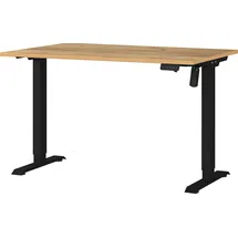 Germania Schreibtisch höhenverstellbar, 120 x 119 x 80 cm schwarz, 120x119x80 cm