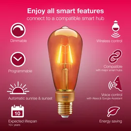 Innr Lighting Smart Filament Edison vintage RF 264-2 4,2W E27 warmweiß 2 St.