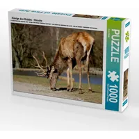 Calvendo Könige des Waldes - Hirsche Puzzle