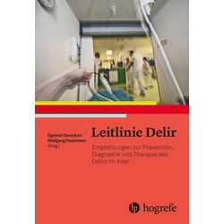 Leitlinie Delir, Kartoniert (TB)