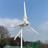 3000W Windkraftanlage 48V horizontaler Windgenerator mit Hybrid MPPT Laderegler Windturbine für Home Windmühle (Nur Windkraftanlage)