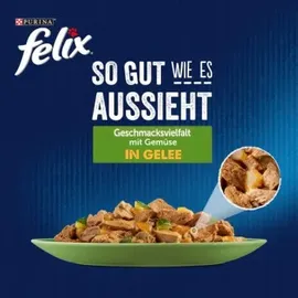 FELIX So gut wie es aussieht Geschmacksvielfalt mit Gemüse 12 x 85 g