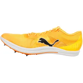 Puma evoSPEED Long Distance Herren orange, 47