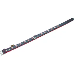 Heim Hundehalsband Heartbeat, 35x2,5 cm