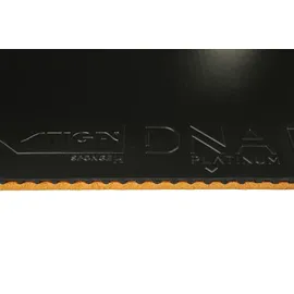 Stiga DNA Platinum H schwarz 2,1