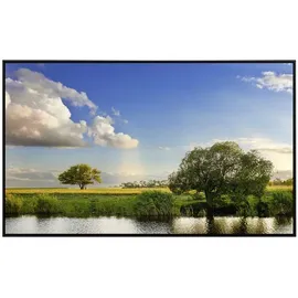 Papermoon Infrarotheizung Flussbaumlandschaft 600 W bunt