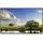 Papermoon Infrarotheizung Flussbaumlandschaft 600 W bunt