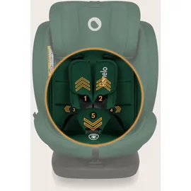 lionelo Bastiaan i-Size Kindersitz ab Geburt 0-36 kg Isofix Top Tether 360 Grad drehbar Rückwärts Vorwärts Seitenschutz 5-Punkt-Sicherheitsgurte Dri-Seat (Grünwald)