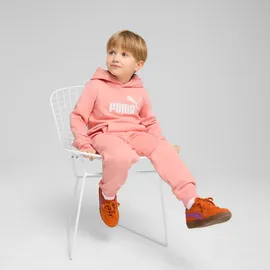 Puma Essentials No. 1 Logo Fleece Hoodie Jungen 18 pink fruit 116