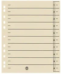 Viking 1 bis 10 Trennblätter Recycled 100% Spezial Chamois 10-teilig Pappkarton 11 Löcher 100 Stück
