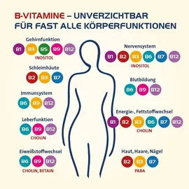Vitamin B Complete Hevert all-in-one Kapseln