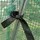 EDENIA Großer Garten Folientunnel VERNA 3 x 6 m