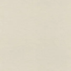 Rasch Textil Vliestapete 10,05 m x 0,53 m 1 St beige 464016