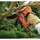 Black & Decker Black+Decker RS890K-QS