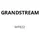 Grandstream WP822 schwarz/silber
