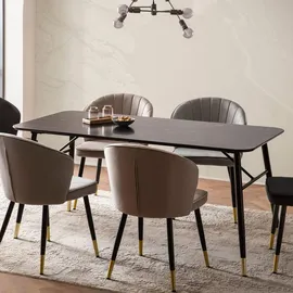 FineBuy Esstisch 160 x 80 x 76 cm schwarz