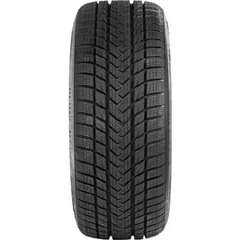 GRIPMAX Status Pro Winter 225/45 R19 96V XL