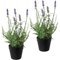 Kunstpflanze CREATIV GREEN "Lavendel", lila, H:25cm, Kunststoff, Kunstpflanzen, 3er Set, im Kunststofftopf