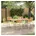 Gartenstuhl 6 St 56 54 5 87 cm braun
