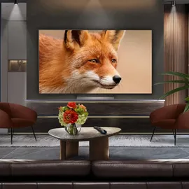 LG OLED65C5ELB 65" 4K OLED Smart TV