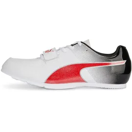 Puma Unisex Evospeed Long Jump 10 bunt 46.5