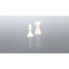 BASF Ultracur3D Color Kit Schwarz 500 g 500 g, Resin, Schwarz