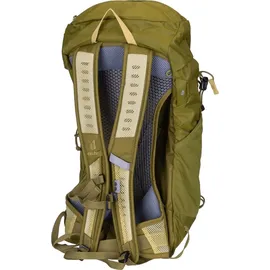 Deuter AC Lite 16 linden-cactus
