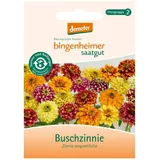 Bingenheimer Saatgut Buschzinnie demeter