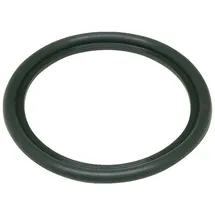 Buderus Boiler Dichtung Boilerdichtung für Warmwasserspeicher Dichtring Wl 130-200 63043454