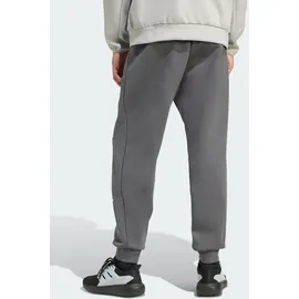 adidas PERFORMANCE Sporthose Mercedes-AMG Petronas F1 Team Silver Arrows, Größe M in grau / hellgrau MxRegular