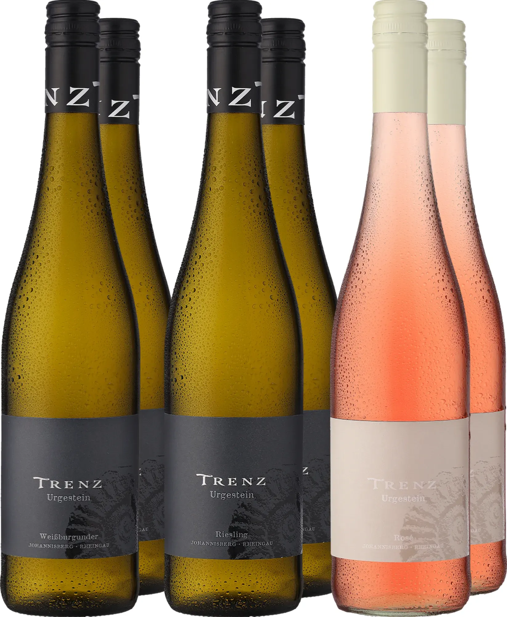 6er-Probierpaket »Trenz entdecken«