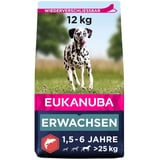 Eukanuba Hundefutter mit Lachs & Gerste für große Rassen - Trockenfutter für ausgewachsene Hunde, 12 kg